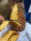 カンボジアの巨大なパイナップルは意外な味だった。。【カンボジア生活】