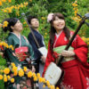 最高！生で三味線ライブ。あまりの動きの早さにカメラが捕らえきれない【カンボジア生活】